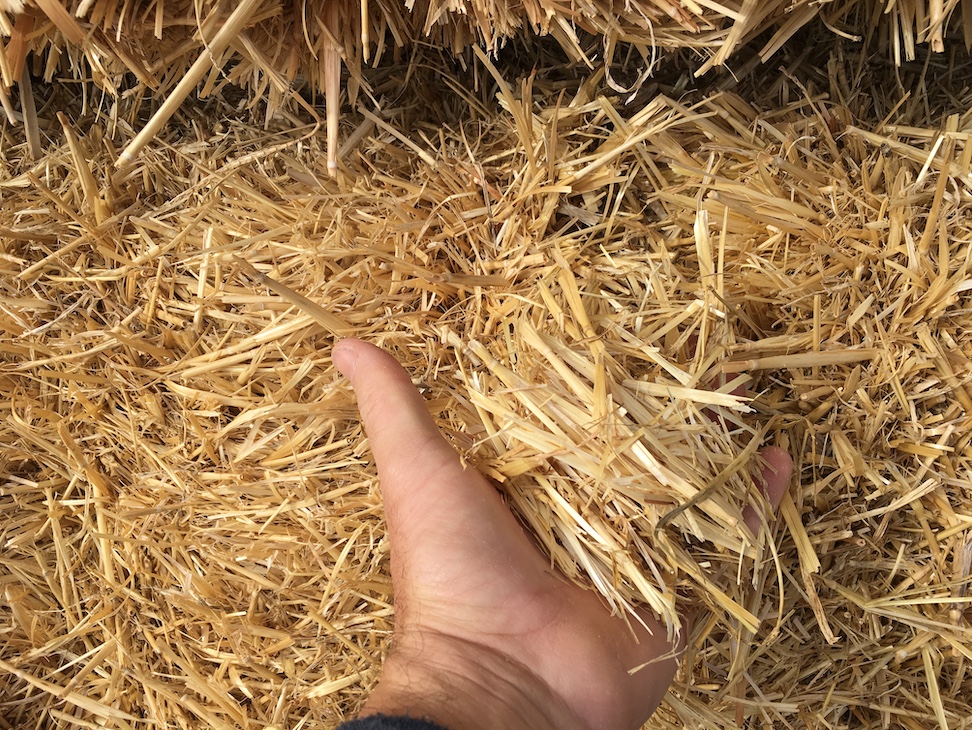 Barley Straw Header Trail 8x4x4 Hay & Fodder Straw For